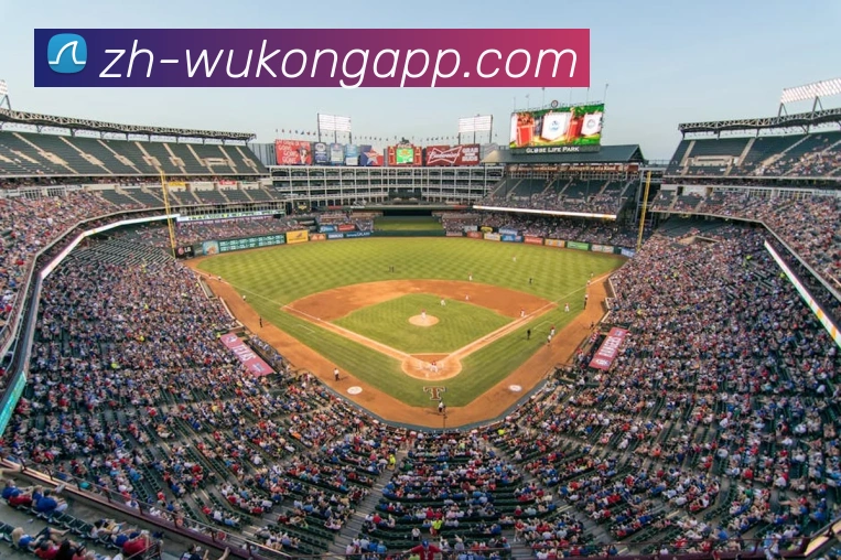 悟空体育app平台生态图