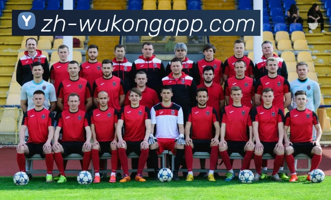 辅助工具 辅助工具